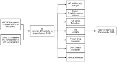 Bioinformatics and systems biology approaches to identify potential common pathogeneses for sarcopenia and osteoarthritis